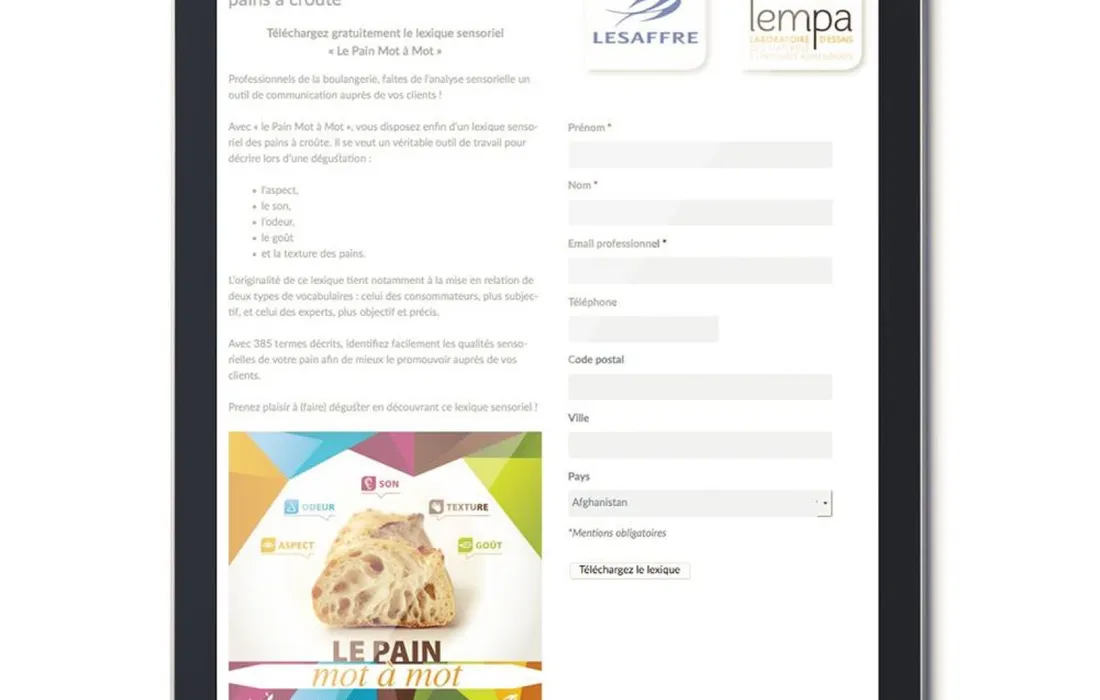 Lesaffre (Livendo, Kastalia, Le Pain Mot à Mot, Lesaffre France, Bourse 1ère installation)